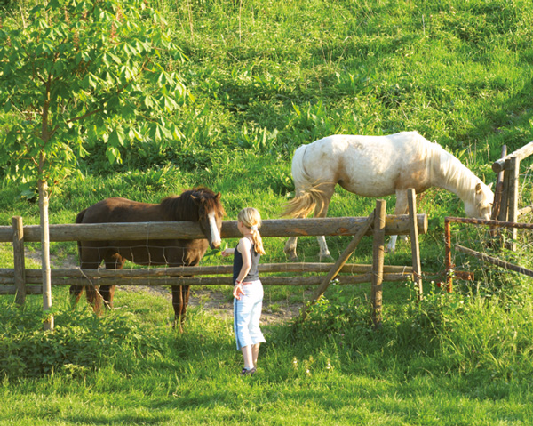 in_natur.jpg